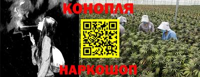 гашиш Новозыбков