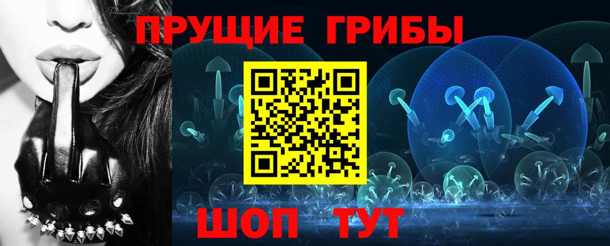 Томск  Галлюциногенные грибы мицелий  Вход с VPN 
